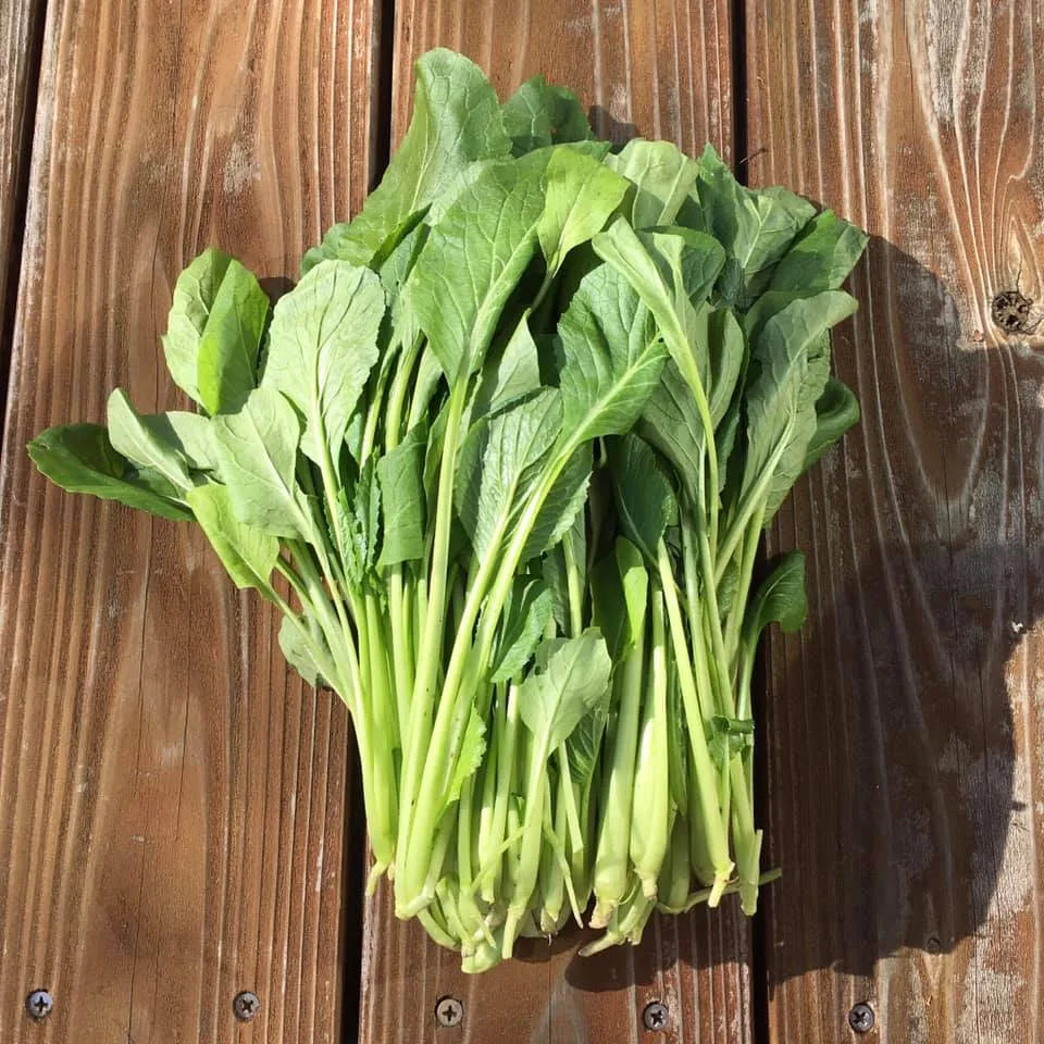 【冬季限定 飛騨牛と冬野菜のすきやきセット】<br>(郡上から冷蔵便直送)<br>*コーヒーとの一括発注はできません