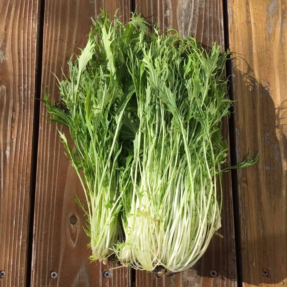 【冬季限定 飛騨牛と冬野菜のすきやきセット】<br>(郡上から冷蔵便直送)<br>*コーヒーとの一括発注はできません