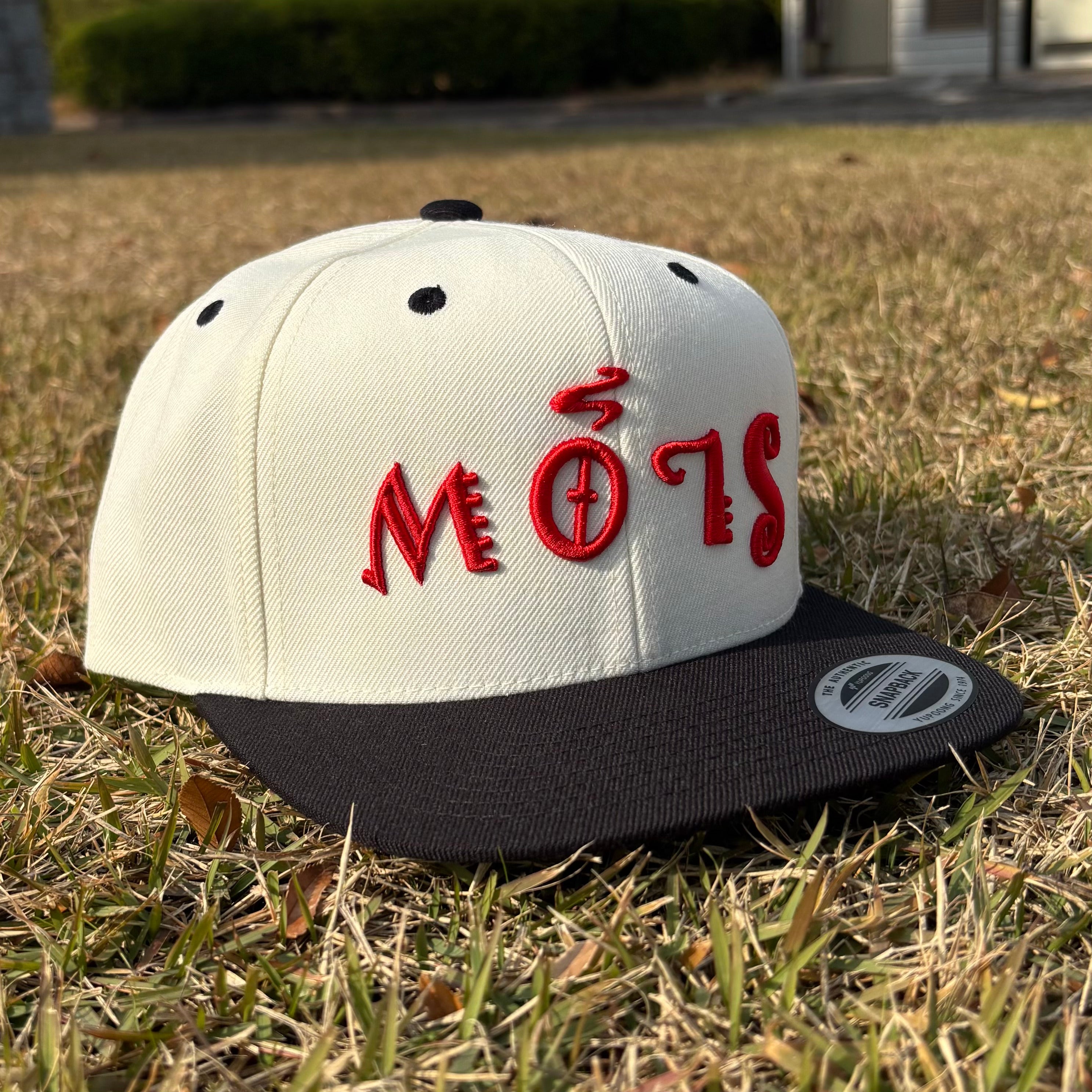 25thCAP<br>NTURAL/BLACKナチュラル/ブラック・REDレッド<br>逆さSLOW