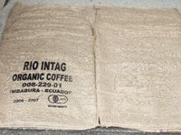 エクアドル・インタグ地区産無農薬栽培コーヒー生豆