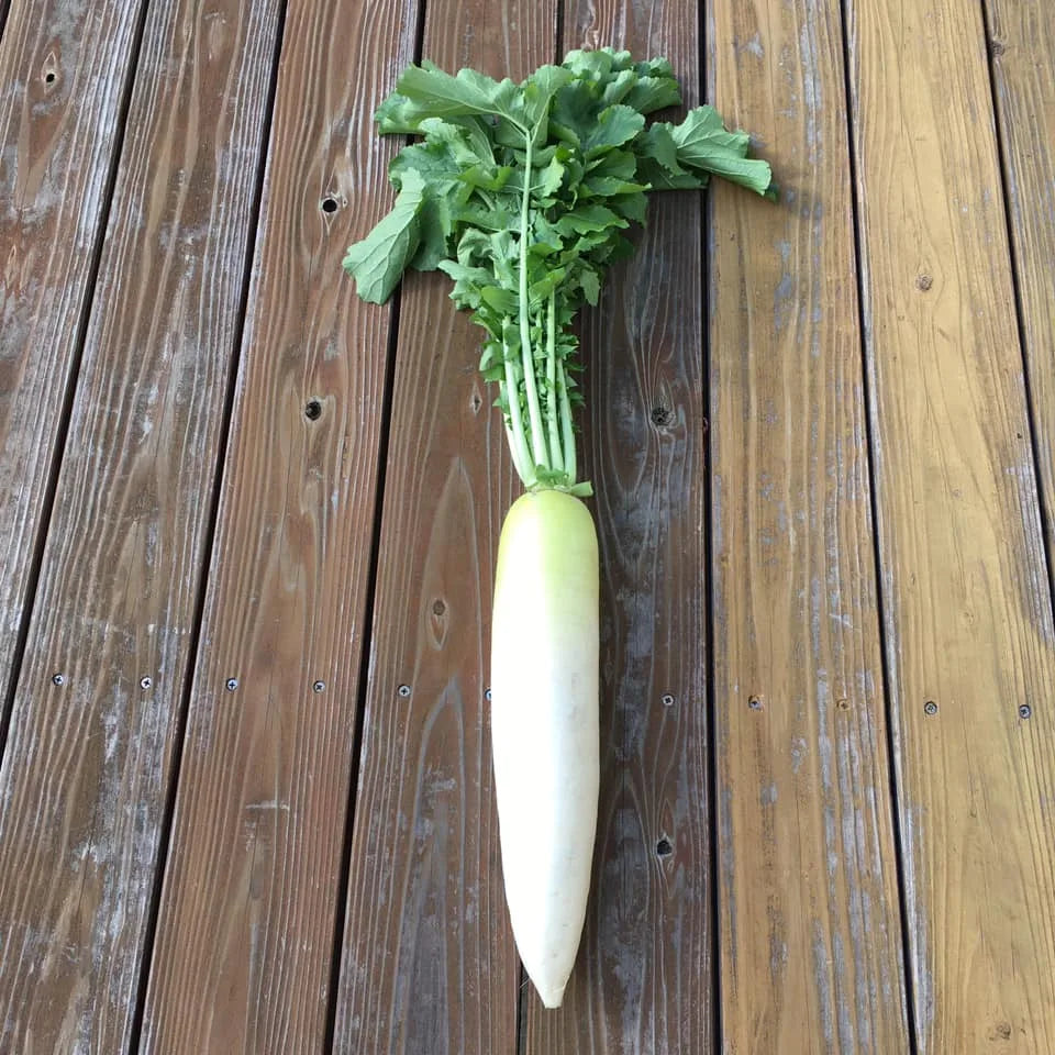 【季節限定　飛騨牛と冬野菜のすきやきセット】<br>(郡上から直送)<br>＊コーヒーとの一括発注はできません