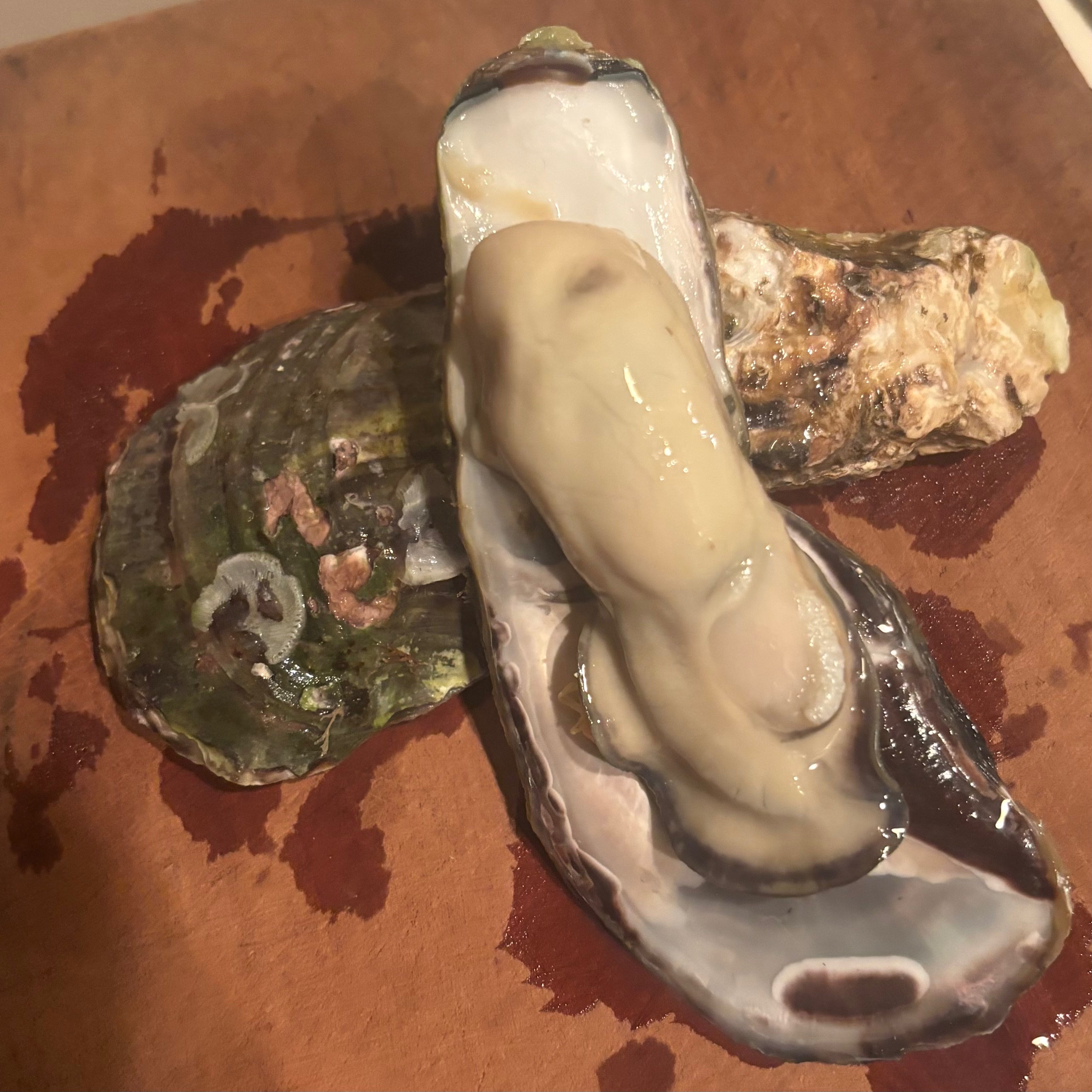 食べて応援！！【送料込】岡山産牡蠣　加熱調理用　(約2kg,約5kg,約10kg）